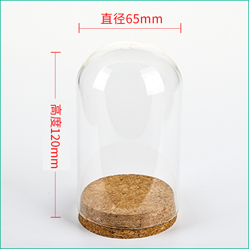 36 adet D65XH120mm Boş Şeffaf  - Wedding Zoo incelemesi ve fiyatı